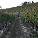 Farm stay San Lorenzo *